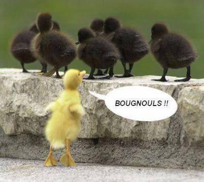  bougnouls !!!!!!!!